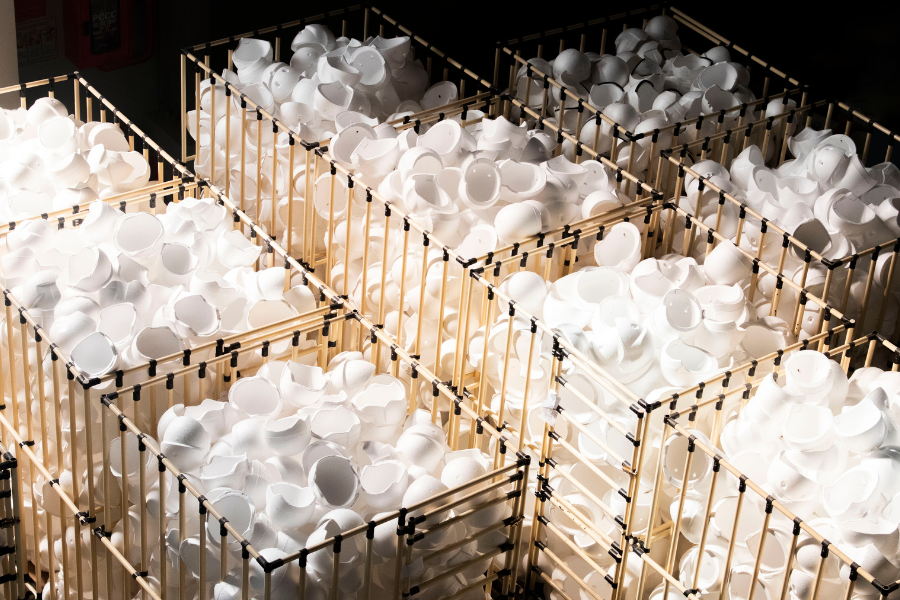 cam kết chất lượng cao