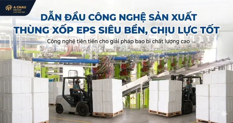 Dẫn đầu công nghệ sản xuất thùng xốp EPS siêu bền, chịu lực tốt